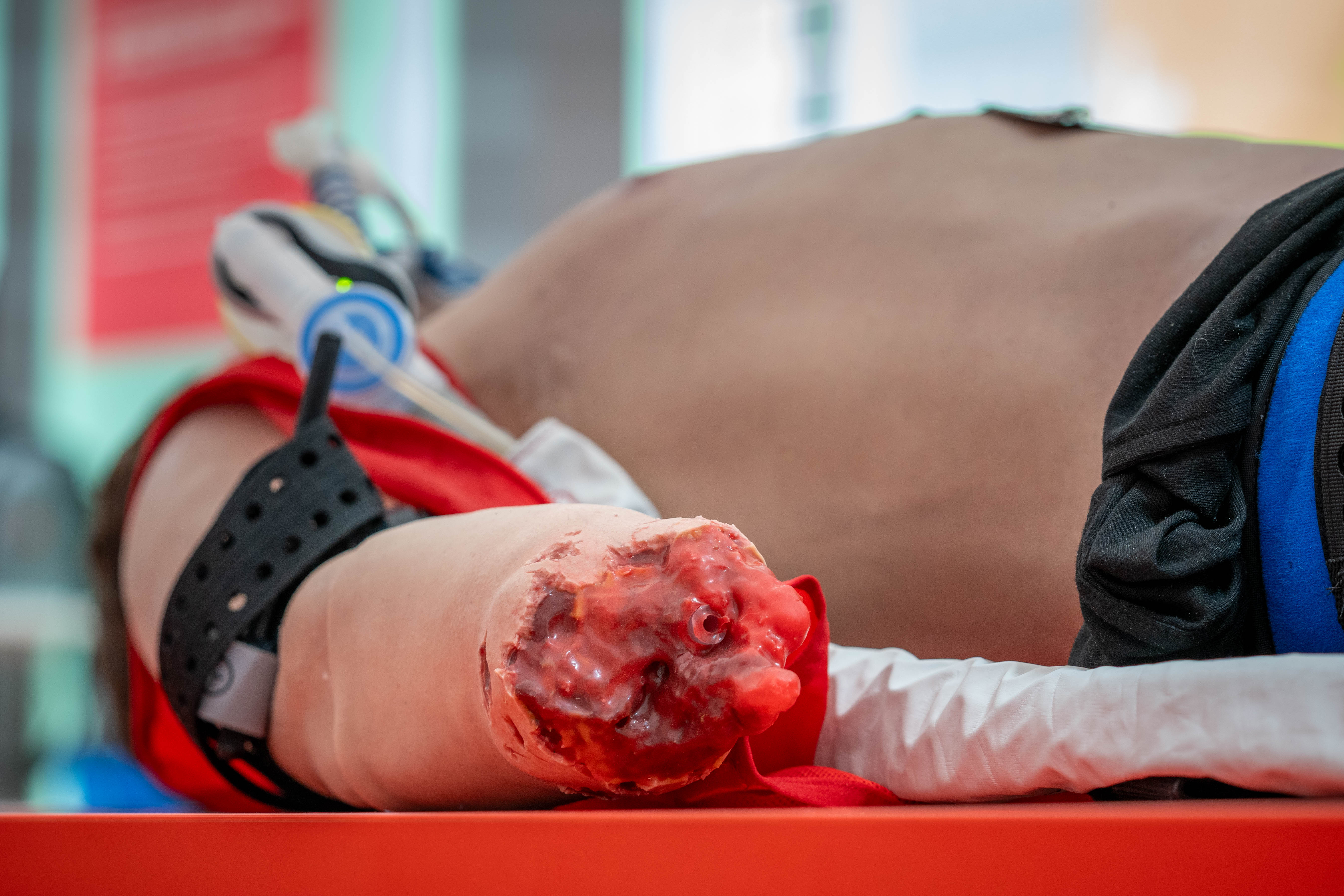 SIMBODIES